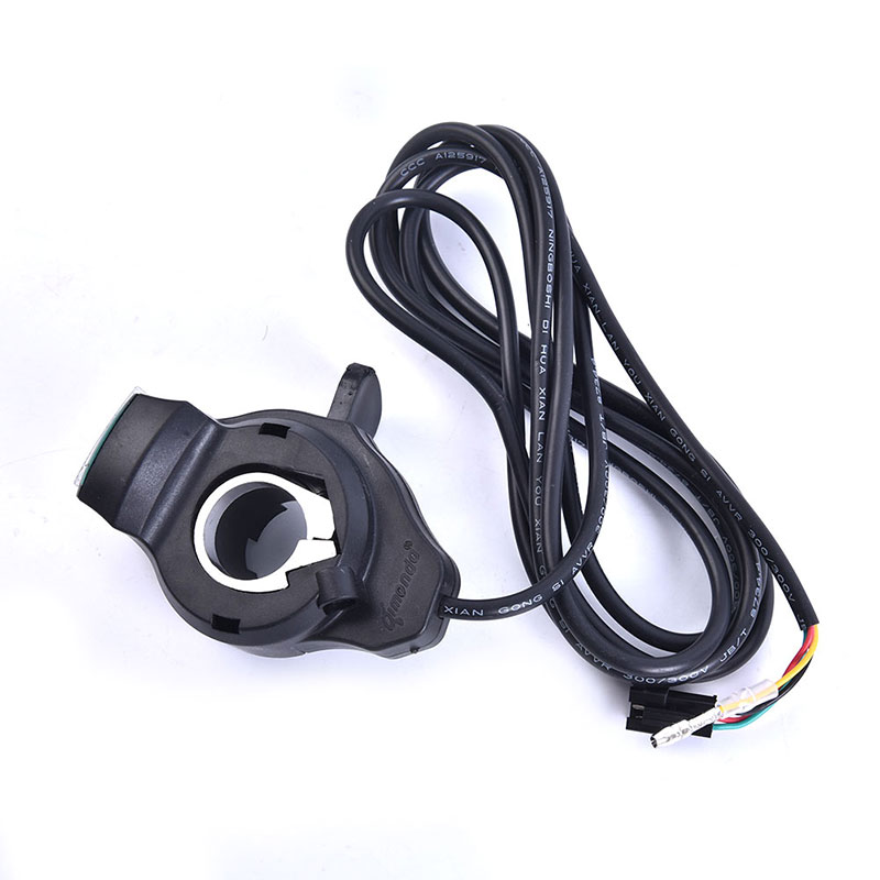 electric bike E-bike thumb thr - Cycling Gear Display recensione e prezzo